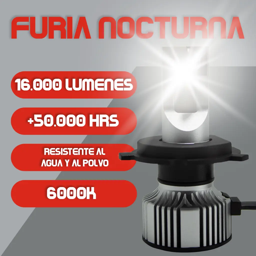 FURIA NOCTURNA H4-2.webp
