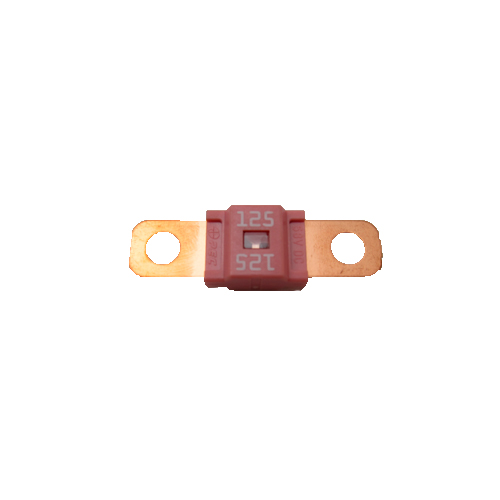 [PEC-SBFW-L-125A] FUSIBLE POTENCIA 125A